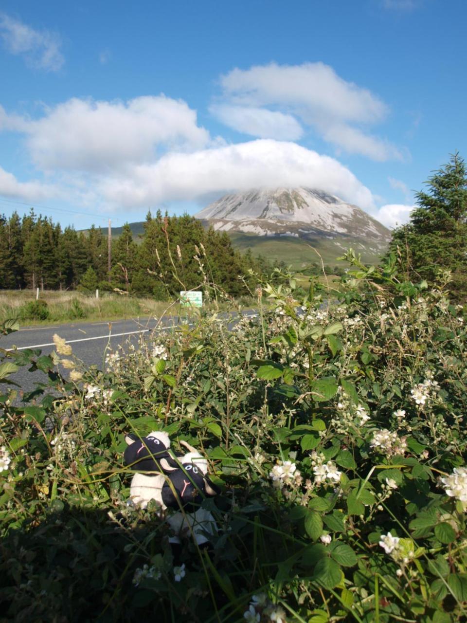 The Lookout Ardara Hotel Buitenkant foto